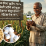 Pik Vima Kharip 2025 good news किती आणि कोणत्या पिकांचा पीक विमा मंजूर झाला स्टेटस कसे तपासावे